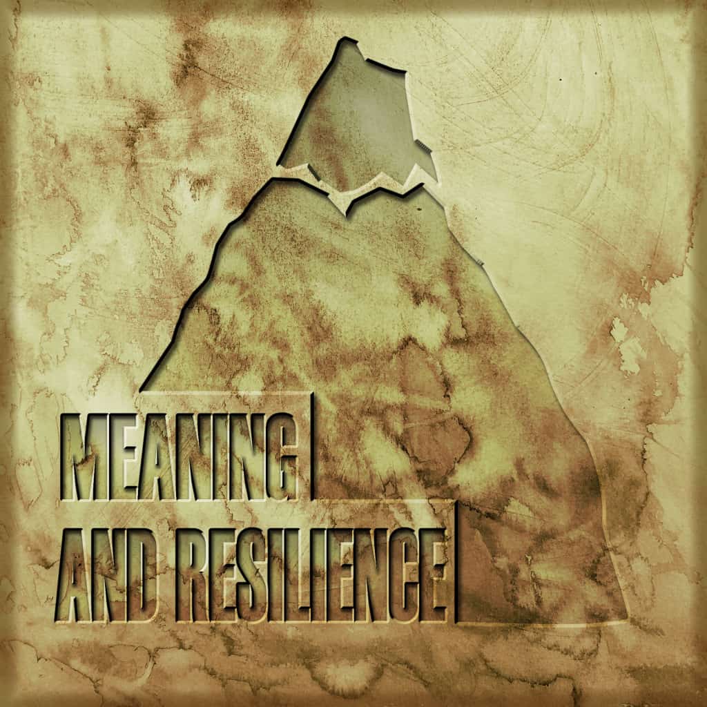 Meaning & Resilience Course 2 TITLE 2