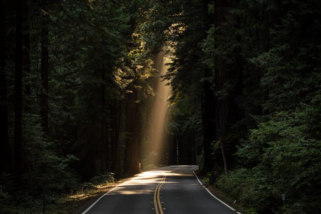 Feeling trapped in life? What to do 4 john towner 3Kv48NS4WUU unsplash