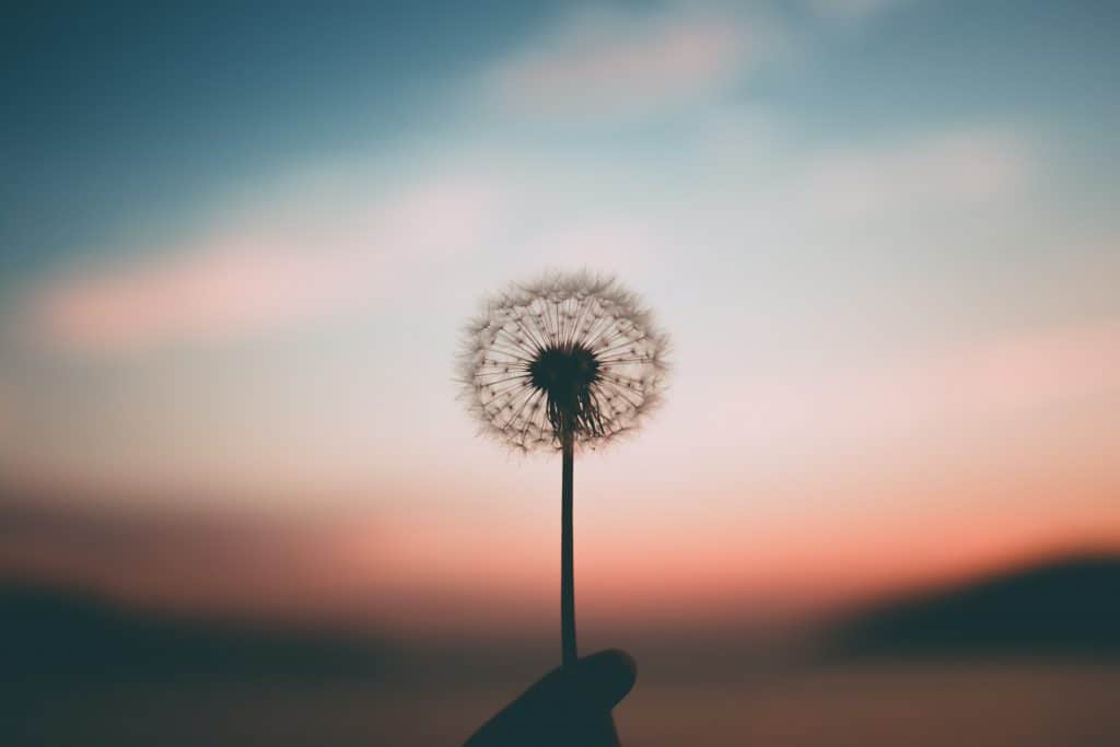Learn to love you - the importance of self-care 3 aleksandr ledogorov G JJy Yv dA unsplash
