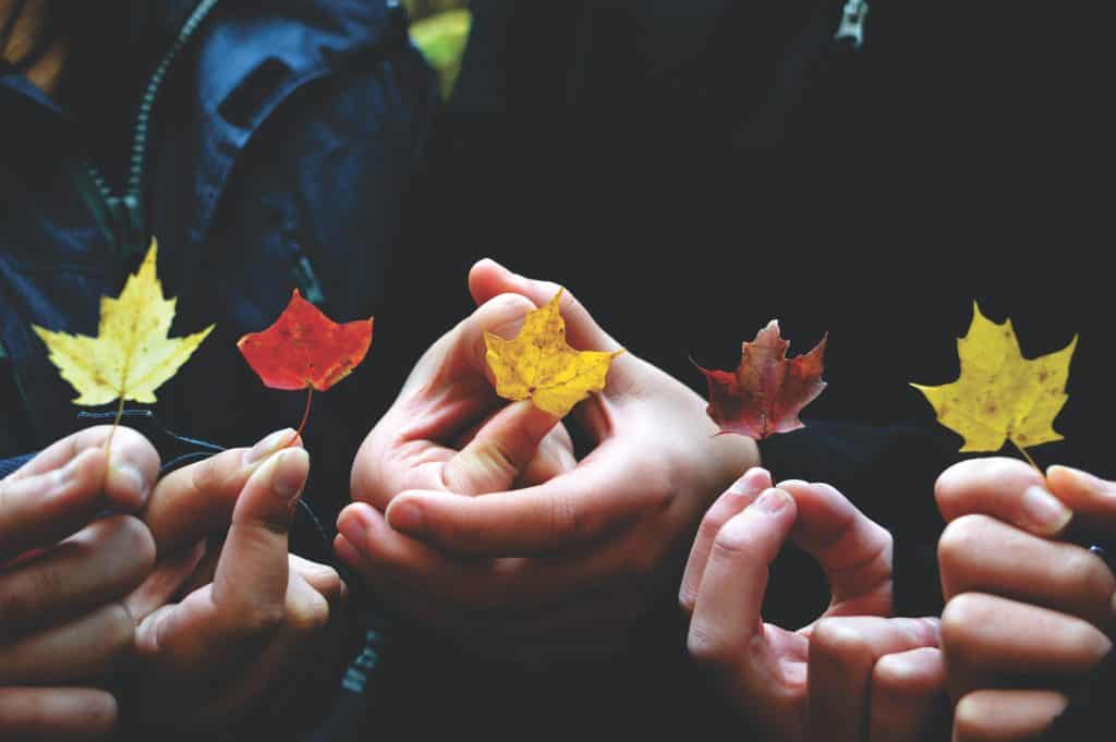 Mindfulness for Children - The Beginner's Guide 3 providence doucet mE5MBZX5sko unsplash