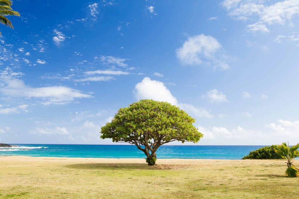 How to Stay Focused with Greater Mindfulness 2 relaxing scenery to help teach how to stay focused
