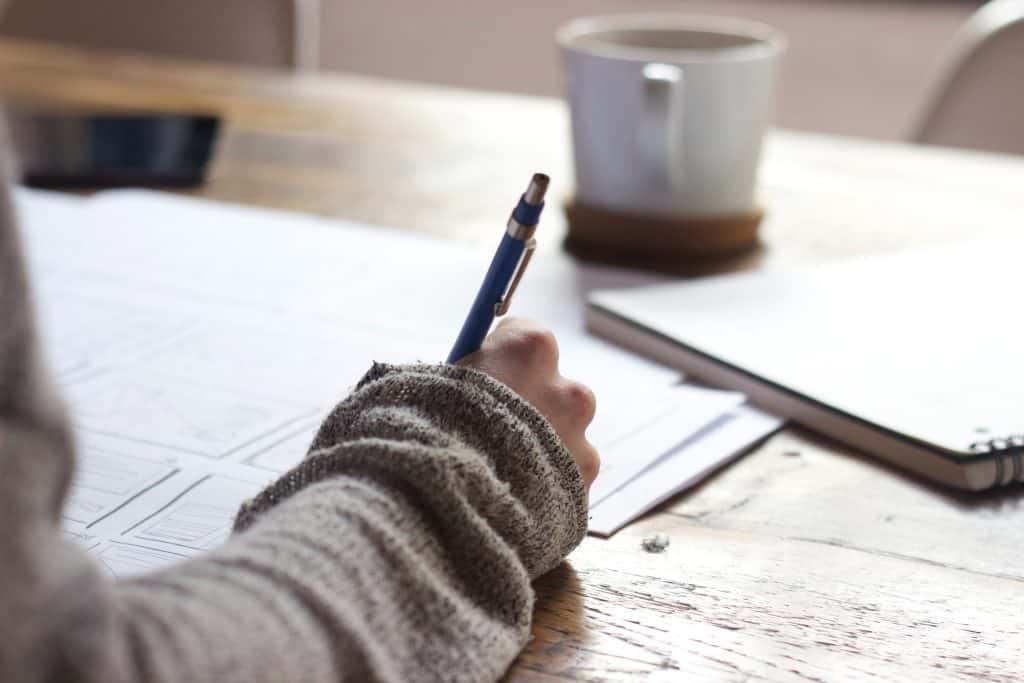How to Formulate The Perfect Personal Development Plan 2 green chameleon s9CC2SKySJM unsplash