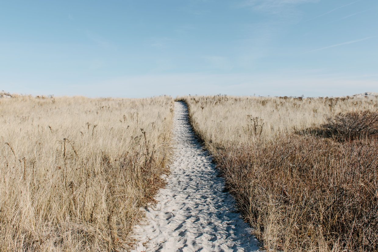 Coding For Happiness 3 alice donovan rouse pZ61ZA8QgcY unsplash