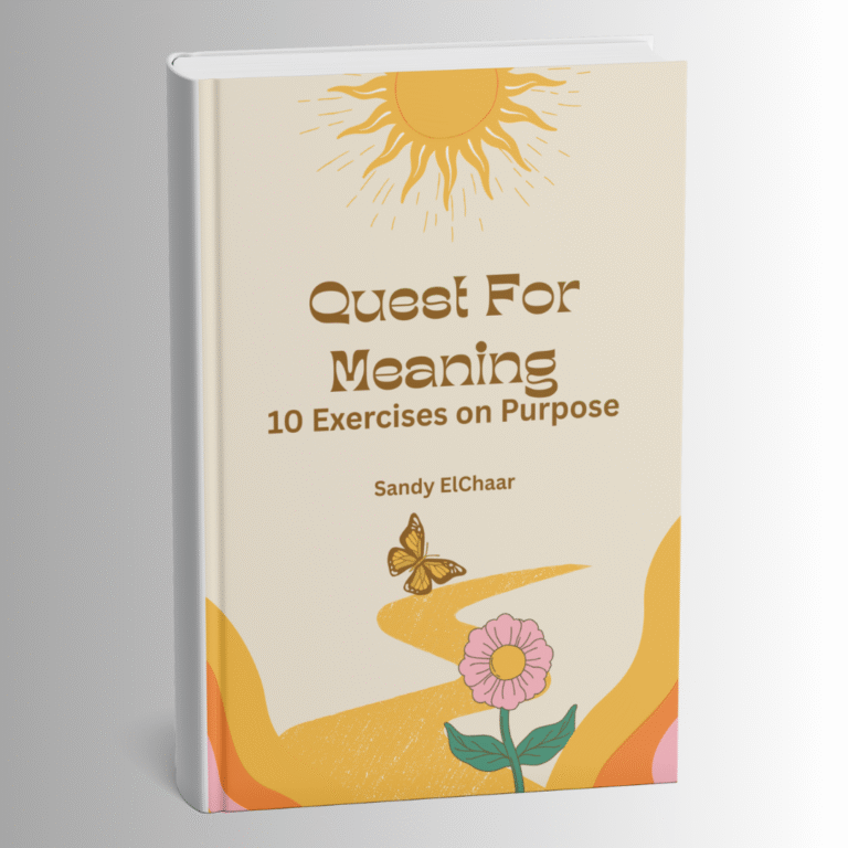 Quest For Meaning 3D Cover Image A