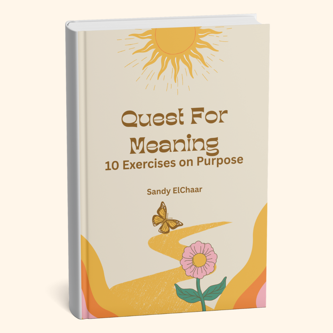 Quest for Meaning eBook