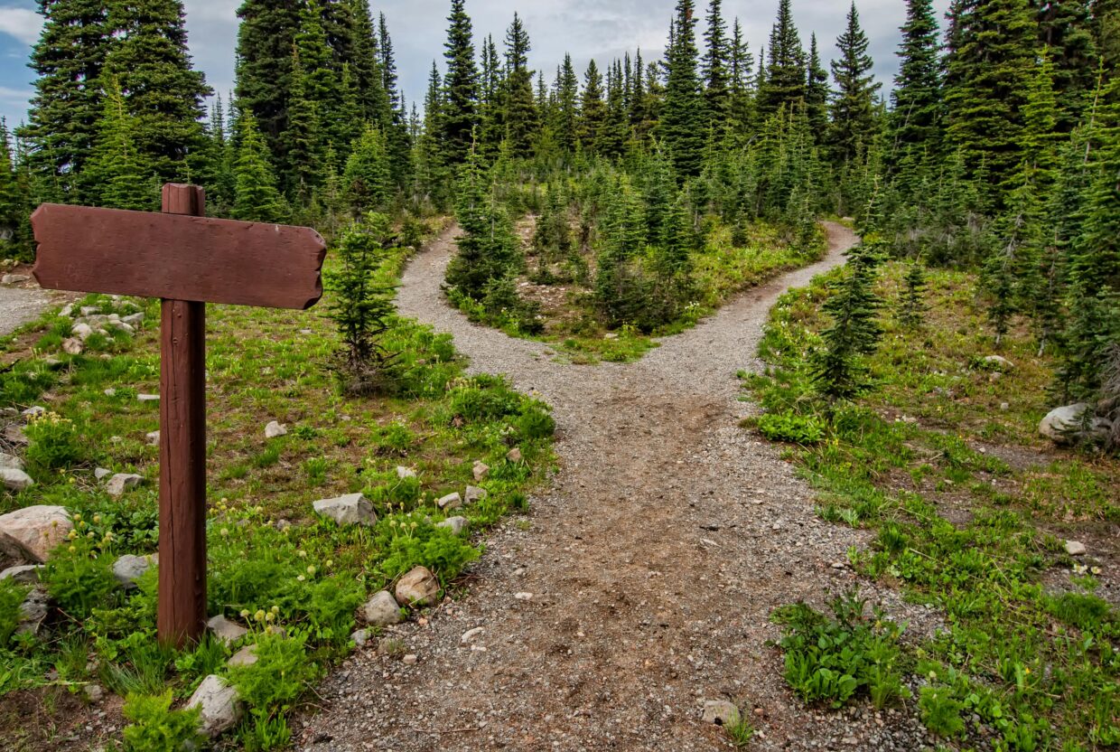 Reconnecting with Purpose After a Major Life Change: An Existential Perspective 2 Explore a forked trail in Manning Park, BC amidst lush greenery and conifer trees. Perfect for nature walks.