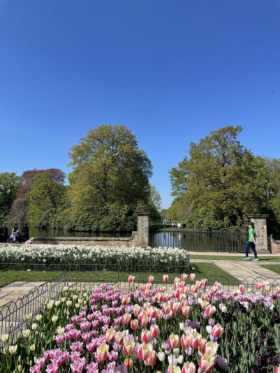 8F234410-4B74-44B9-B555-486F74E9A11C