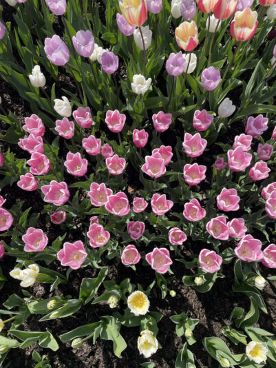 AAAA750B-FBA5-4476-8F93-F5FE54CC05C5