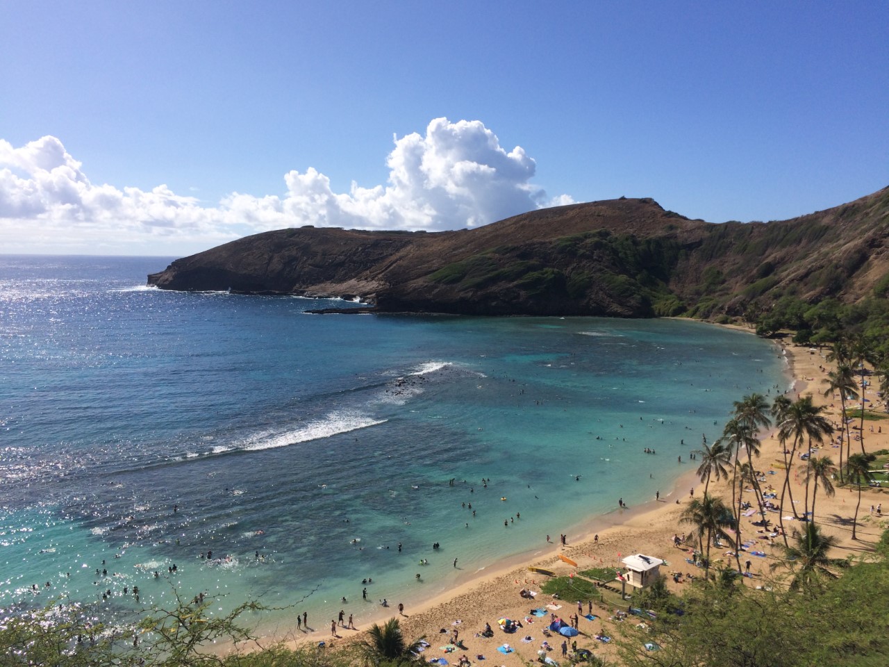 615726f3836f4 bp cover image